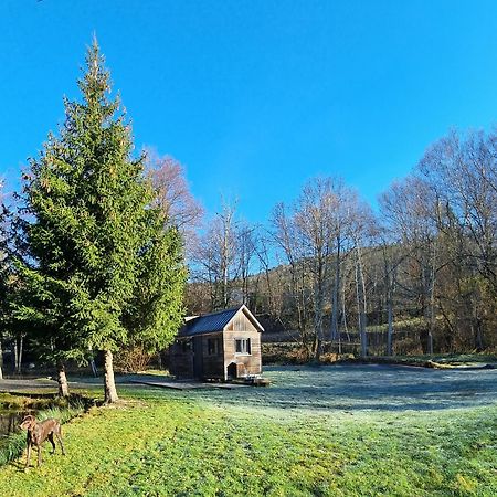 Insolite Tiny House Serenite Bien Etre Ban-sur-Meurthe-Clefcy Eksteriør bilde