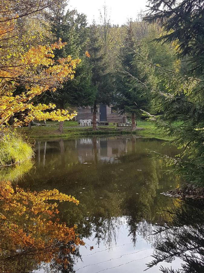 Insolite Tiny House Serenite Bien Etre Ban-sur-Meurthe-Clefcy Eksteriør bilde
