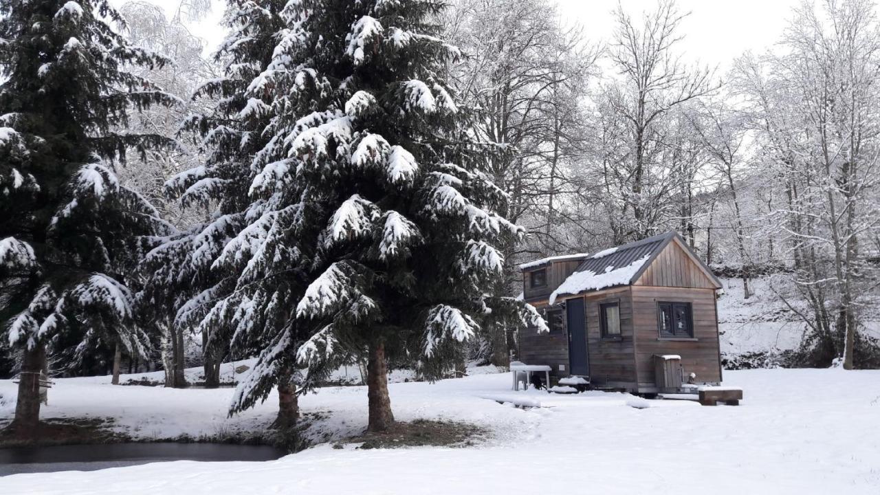 Insolite Tiny House Serenite Bien Etre Ban-sur-Meurthe-Clefcy Eksteriør bilde