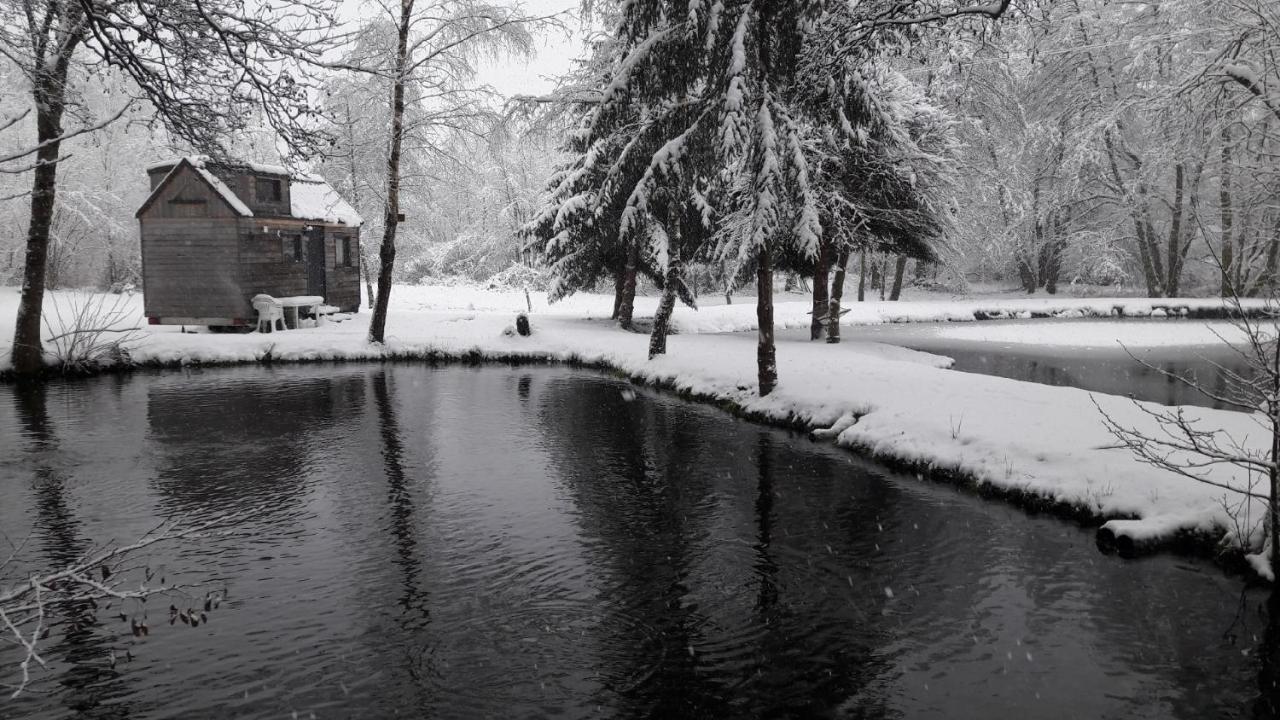 Insolite Tiny House Serenite Bien Etre Ban-sur-Meurthe-Clefcy Eksteriør bilde