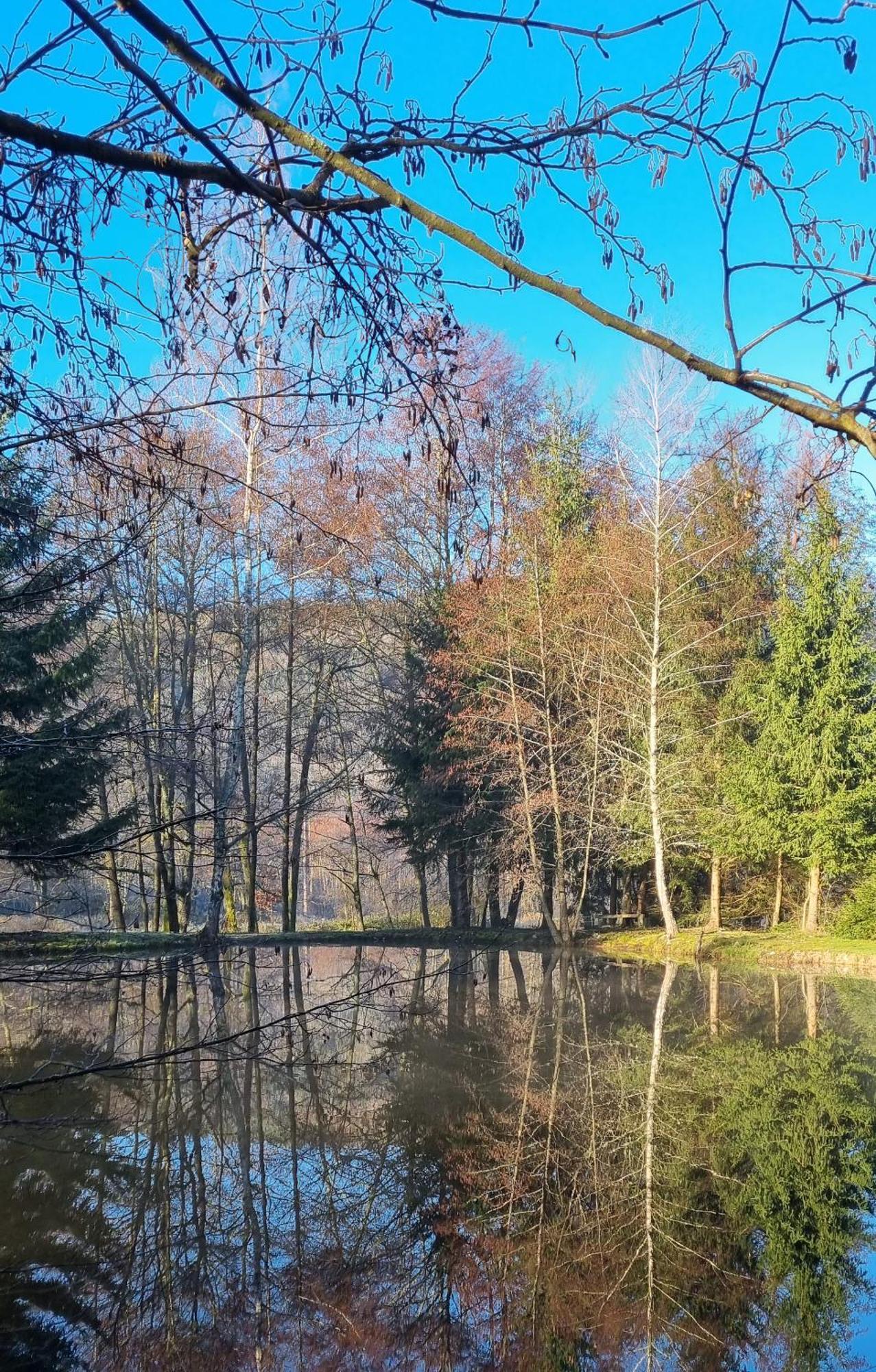 Insolite Tiny House Serenite Bien Etre Ban-sur-Meurthe-Clefcy Eksteriør bilde